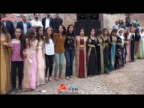 kurdish wedding uludere düğünleri halay başını dikkatlice izleyiniz