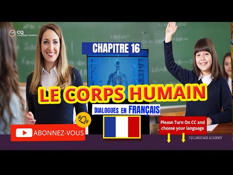 French Lesson #17 : Le Corps Humain