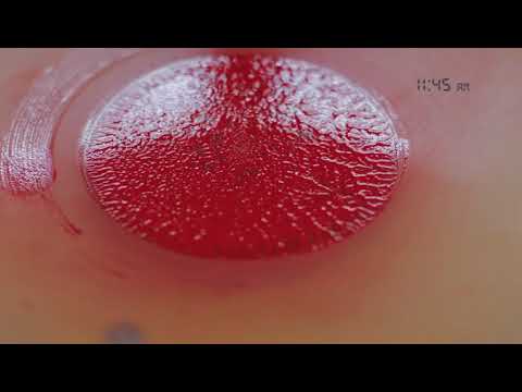 DARIUS CHINOY CAMELIN