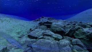 Secret Garden   Dreamcatcher