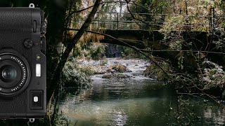 Fuji X100F | Forest Walk | My Classic Chrome Settings