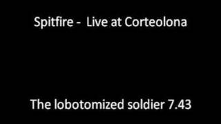 Spitfire - The lobotomized soldier Live