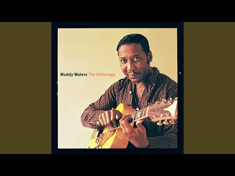 Look What Youve Done - Muddy Waters