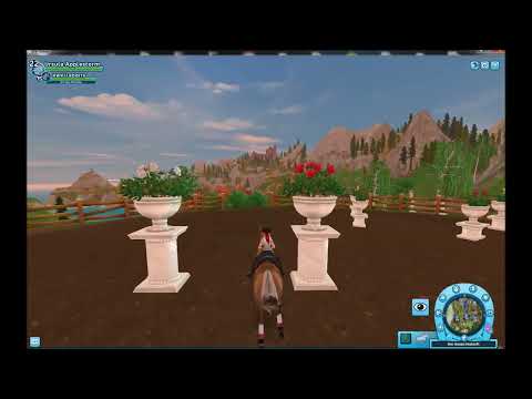 SSO Shortcut - Silverglade-Arbeitsreitweise für Anfänger 43:83 (Morgan)