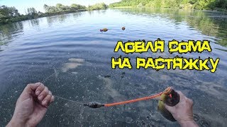 Ловля сома на живца в карьерах