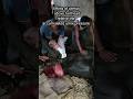 Prolapse Of Uterus In Cattle Is Veterinary Emergency How Vet Handled 1hour Work In 1minute