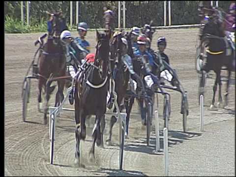 Trotto 25/06/2016 - 1° corsa