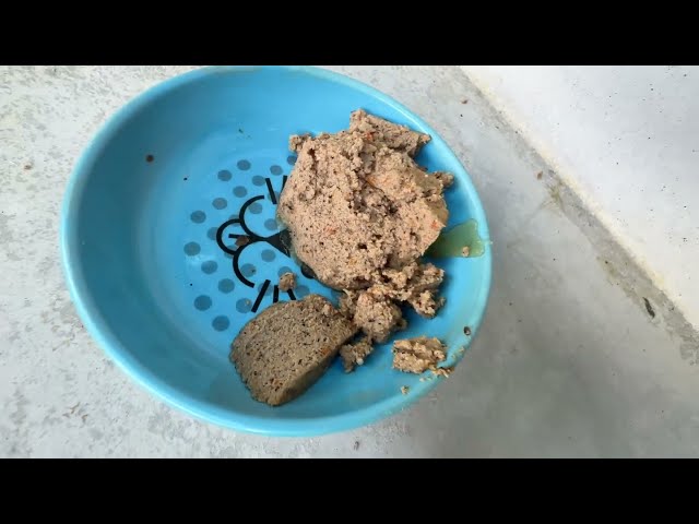 Best Wet Cat Food for Picky Eaters: A Guide to Happy, Healthy Cats - alternate angle