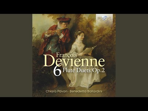 Flute Duo No. 3, Op. 2: I. Allegro