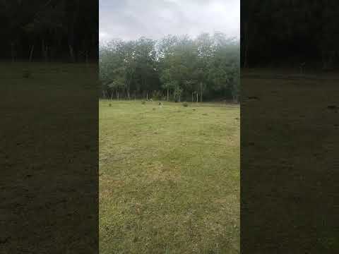 vendo 750 metros cuadrados entre ríos villaguay