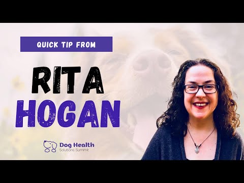 Rita Hogan Canine Herbalist | Best Herbs For Dogs Quick Tip | Pet Summits