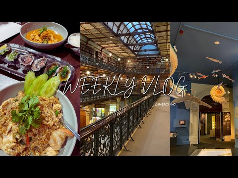 Vivendo na Austrália | Vida em Adelaide, Foodland Pasadena - Os melhores supermercados de Adelaide, Museu SA