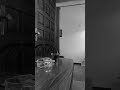 N&atilde;o fa&ccedil;amos prisioneiros (Demo - Autoral)