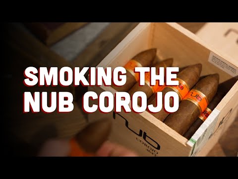 Nub Corojo Cigar Review