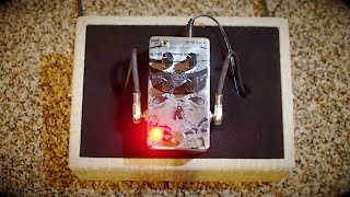 Video thumbnail for Animal Factory Amplification Chemical Burn Fuzz by Pedal of the Day