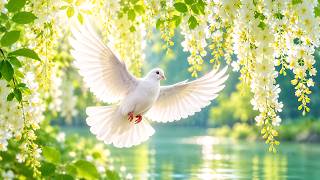 HOLY SPIRIT HEALS YOU AS YOU REST ✦ Divine Peace, Heavenly Miracles & God's Blessings Flow Into Life