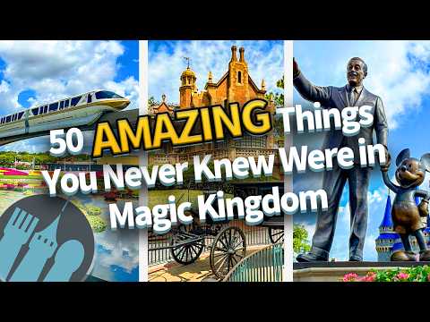 50 AMAZING Things You Never Knew Were in Magic Kingdom