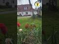 video psPExsxhhmk