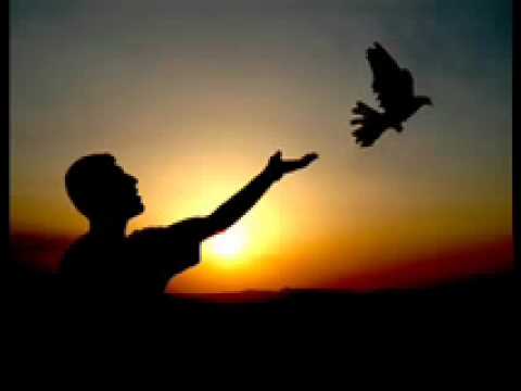 Rotinda - Navê min Egîd'e