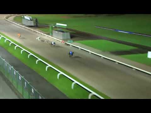 2021 ECLIPSE FINAL - SIGNET ACE