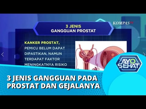 , title : 'Berikut 3 Jenis Gangguan Pada Prostat Beserta Gejala yang Muncul | AYO SEHAT'