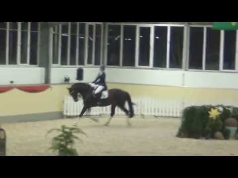 PRIMEUR'S AS & Stefanie Ahlert - Hengstschau Rüscher-Konermann 2015