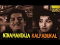 Ninamaninja Kalpadukal Full Movie HD Prem Nazir Ambika Sheela Malayalam Classic Cinema