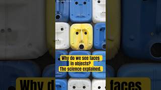 The science behind pareidolia with Chris French #pareidolia #facesinobjects #sciencefacts #shorts