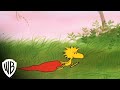 Be My Valentine Charlie Brown Deluxe Edition Valentine For You Warner Bros Entertainment