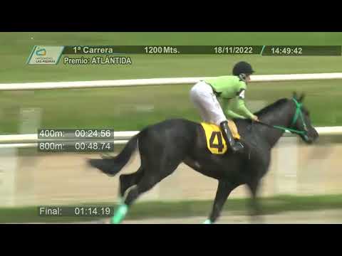 221118 c01 - TEOFILITO G - HIPODROMO LAS PIEDRAS