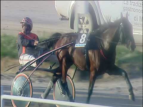 Trotto 01/12/2019 - 4ª corsa