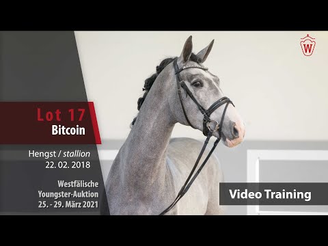 Westf. Youngster-Auktion 25. - 29. März 2021 Trainingsvideo Lot 17 Bitcoin v. Balou du Rouet-Cornado