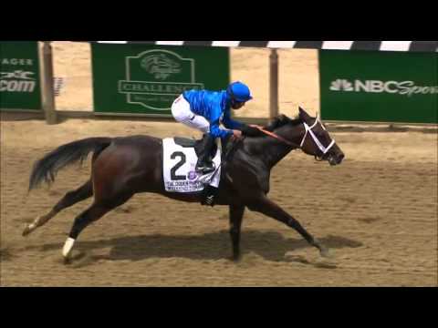 Wedding Toast Seeks Redemption in 2015 Breeders' Cup Distaff