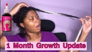 Canvas Beauty 1 Month Hair Growth Update