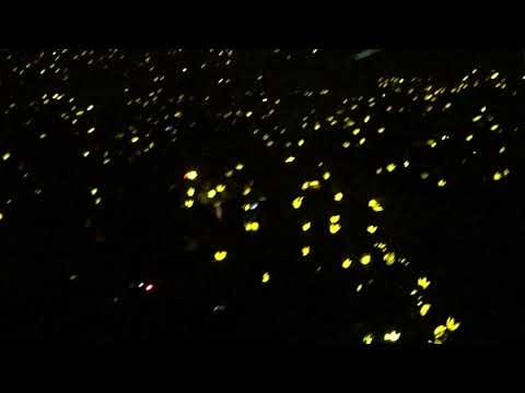 171230 BIGBANG - Encore Fan Chant