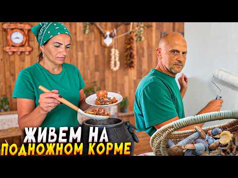 Приусадебное хозяйство и лес прокормит. Начали ремонт в тайной комнате. Генеральная уборка хозблока
