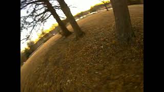 Armattan Gecko 6s DJI Digital FPV at the park (No sound)
