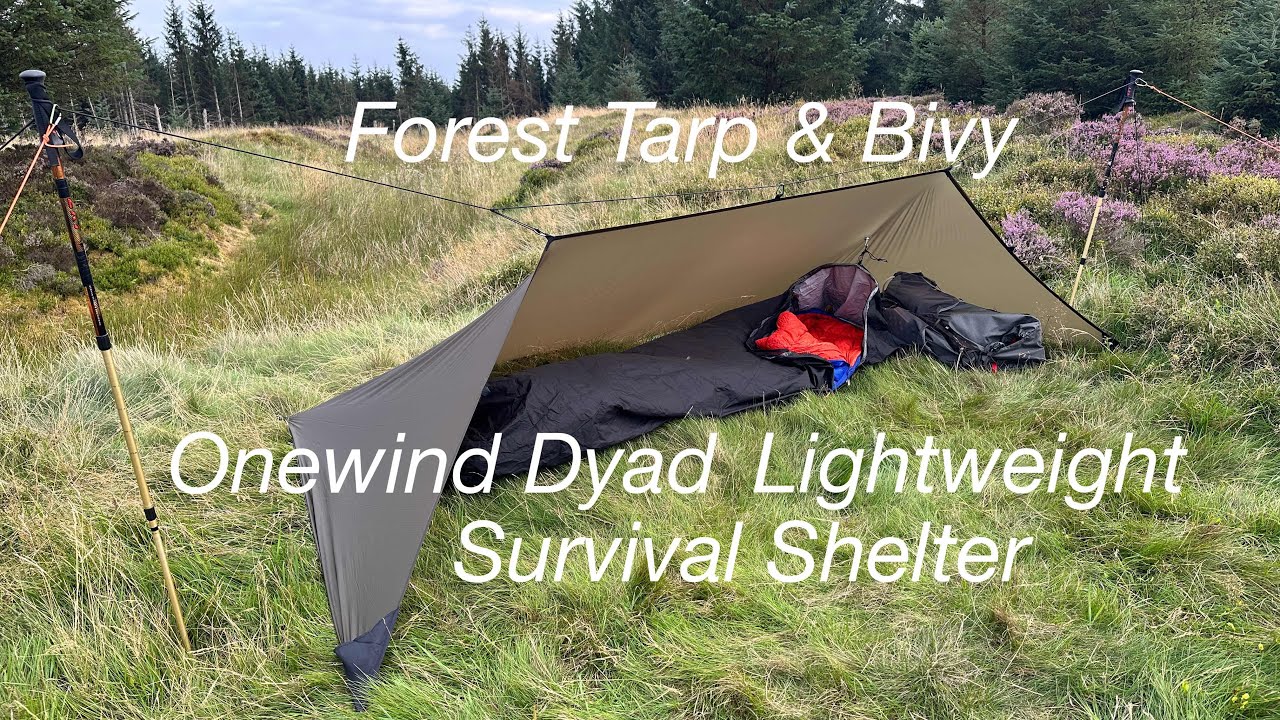 Forest Tarp & Bivy Onewind Dyad Shelter