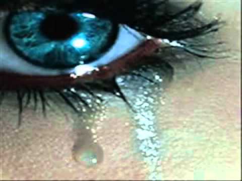 SLoweR-HaziN (HaZiN27 )