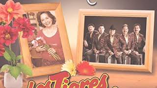 Los Tigres Del Norte - Rifare Mi Suerte