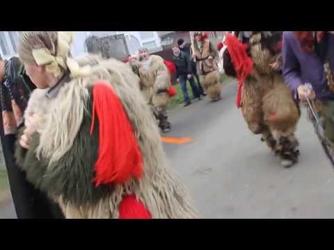 Ceata Plavalari 2013