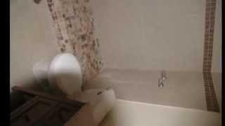 preview picture of video '3007 S ALBERT AVE, Tempe, AZ 85282 | Zack Alawi | 480-600-9168 | Tempe Real Estate'