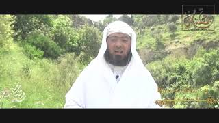 صورة قصة مثل- الحلقة (22) رُبَّ عَجلة تَهَبُ رَيْثًا