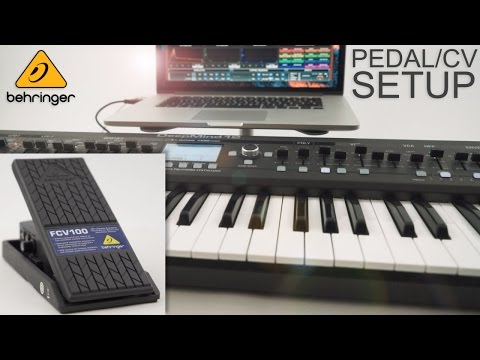 BEHRINGER DeepMind 12  - Pedal CV Setup Guide