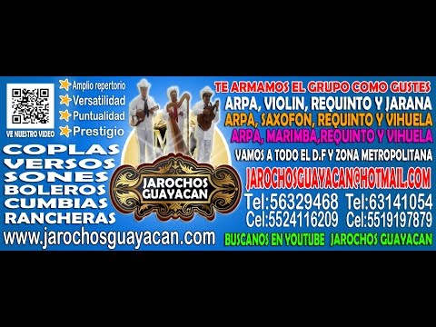 Grupo Jarocho en el DF y Cuernavaca - Colas y Nicolas