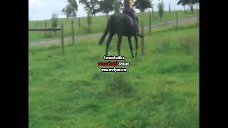 Can't Change a Thing! Jesse James