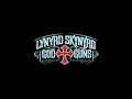 Lynyrd Skynyrd - Need All My Friends