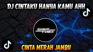 Download lagu DJ CINTAKU HANYA KAMU AHH CINTA MERAH JAMBU || DJ CINTA MERAH JAMBU VIRAL TIKTOK 2025 mp3