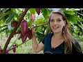 A Beginner S Guide To Bean To Bar Chocolate