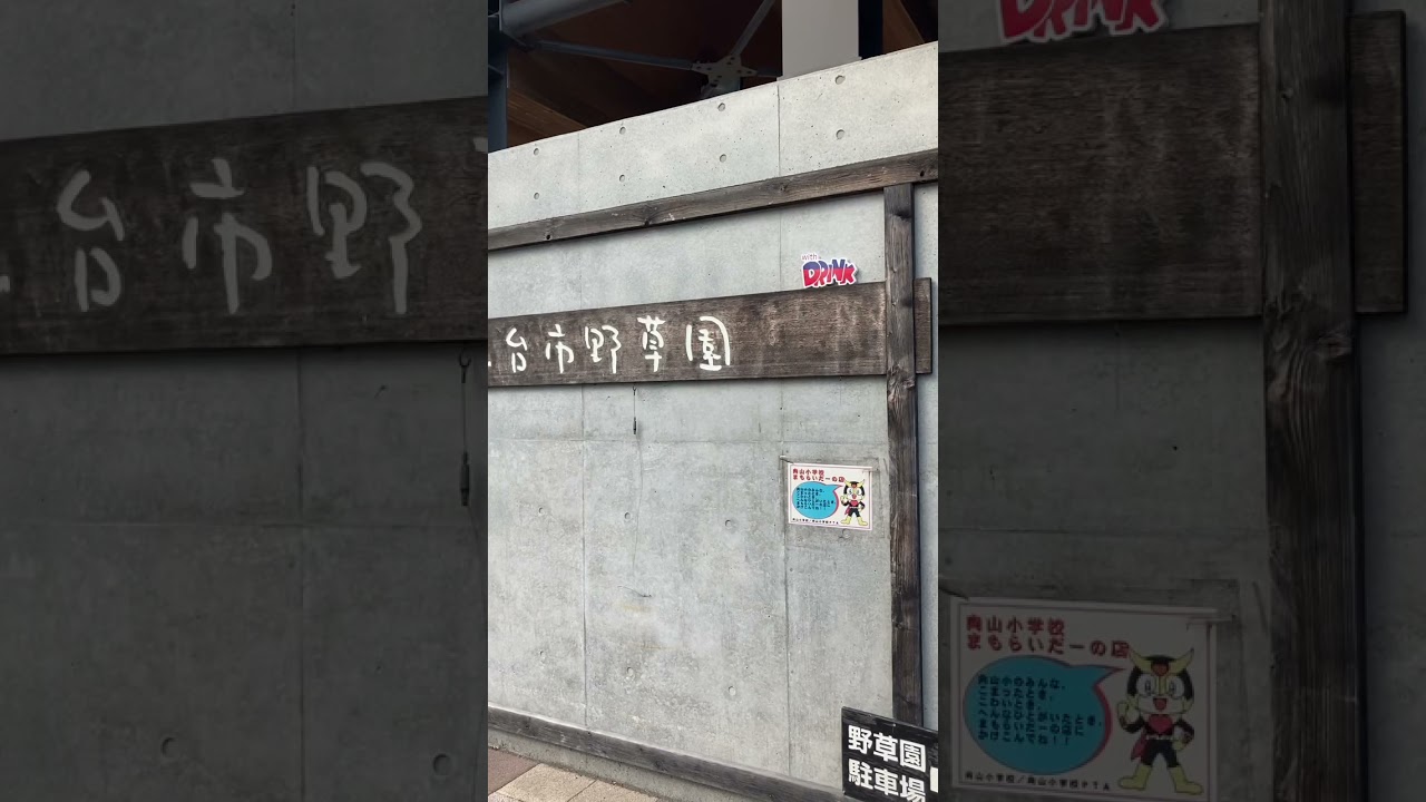 YouTube Short thumbnail